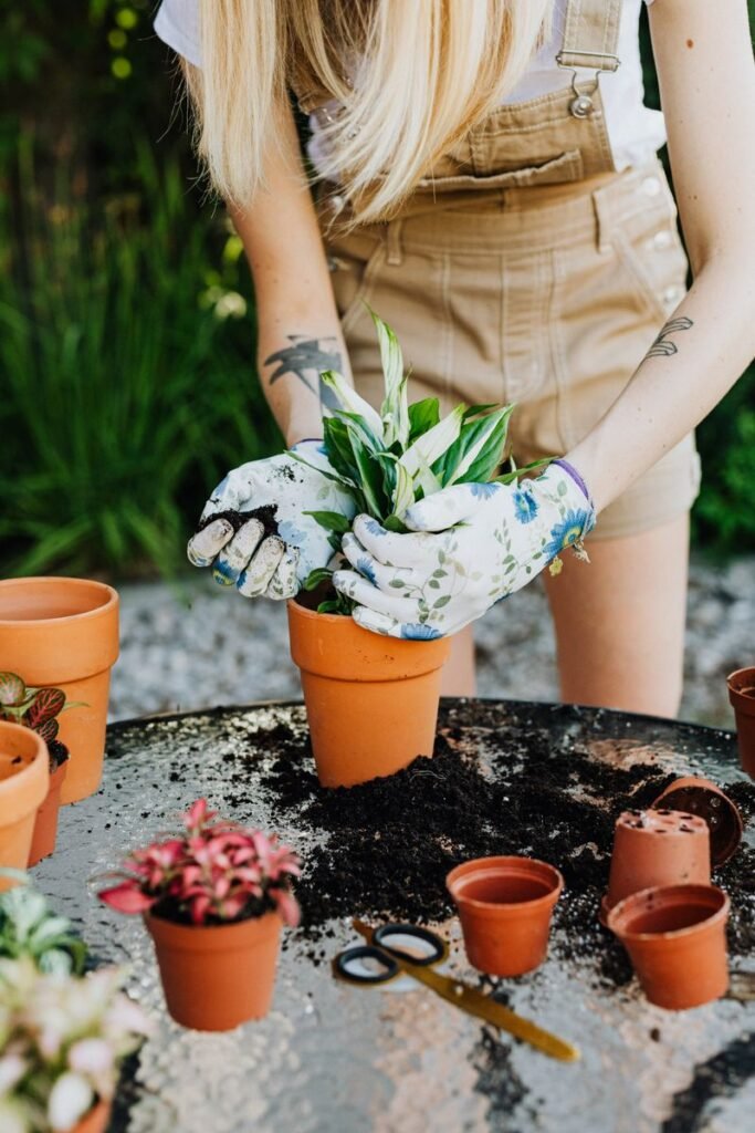 Univers Jardinage Inspi Mundo : plantes et verdure u00e0 la maison